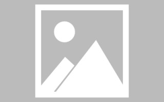 株洲编制网站建设（编制网站建设包括哪些）